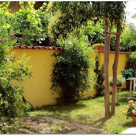 B&B Degli Amici Ciampino Esterno foto